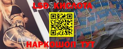 МДПВ Будённовск